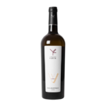 Ryzlink rýnský Virgin 2018